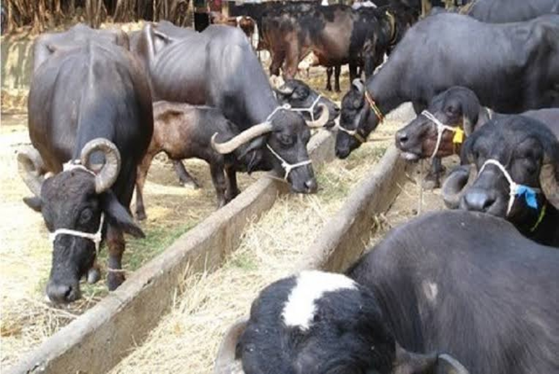 Generic placeholder image