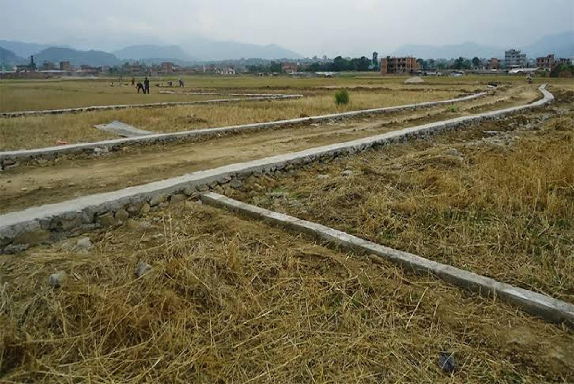 Generic placeholder image